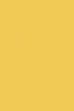 FARROW AND BALL YELLOW GROUND NO. 218 PAINT